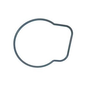 GUARNIZIONE POMPA  ACQUA DF 25