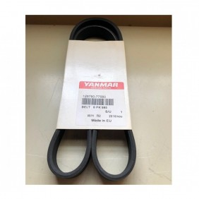 CINGHIA YANMAR