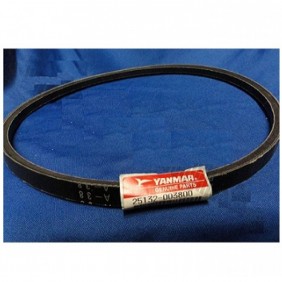 CINGHIA YANMAR