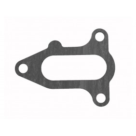 GUARNIZIONE COPERCHIO TERMOSTATO DF300