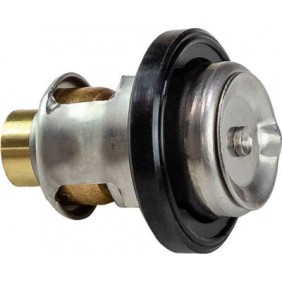 TERMOSTATO 93964
